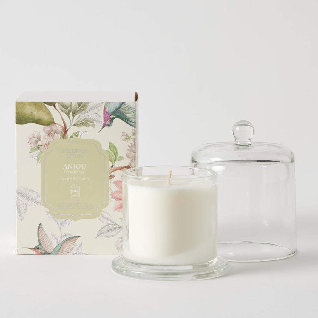 Japan Best Scented Roses Housewarming – The Gift Shop Nambour